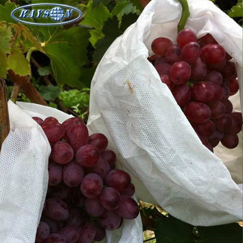 Top Verkauf Produkte Vlies Landwirtschaft Obst Schutz Tasche Vlies Trauben Tasche