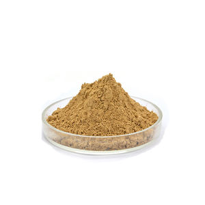 Rifornimento di fabbrica estratto di <span class=keywords><strong>ginseng</strong></span> 98% estratto di <span class=keywords><strong>ginseng</strong></span> sfuso <span class=keywords><strong>ginseng</strong></span> solubile in acqua - Product Image 1