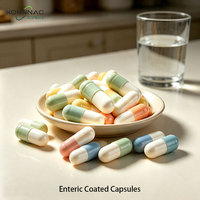 Capsules vides en gélatine dure certifiées Halal, tailles 000, 00, 0el, 0, 1, 2, 3, 4, 5