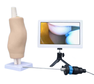 Ortopedia Médica Artroscópio Conjunto <span class=keywords><strong>Simulator</strong></span>/Training Box - Product Image 2