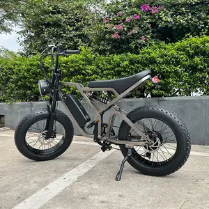 Adults Electric Bike 20" Fat Tire 750W Motor Ebike 48V 15Ah Battery 30MPH Off Road Snow Beach Mountain Electric Bicycle