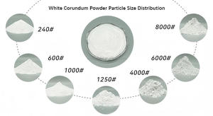 1000 gram bột nhôm trắng tinh khiết 99,5% WA, dạng siêu mịn dùng cho nghiền siêu nhỏ trong công nghệ điện tử và quang học - Product Image 5