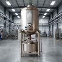 Automatische 380V/220V hoog-efficiënte wasmachine voor groente- en fruitolie met 3T capaciteit voor het reinigen van olijven