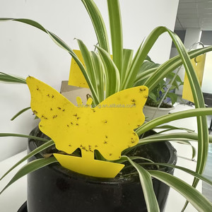 Nhà Máy Bán Hàng Trực Tiếp Vàng Keo Hội Đồng Quản Trị Nhựa Côn Trùng Lỗi Sticker Keo Bẫy - Product Image 2