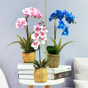 थोक गृह सजावट रियल टच तितली आर्किड फूल कमरों का कृत्रिम Phalaenopsis आर्किड पौधों बर्तन के साथ