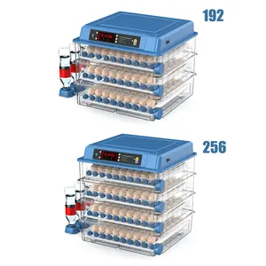 egg incubator in uae best egg incubator simple egg incubator