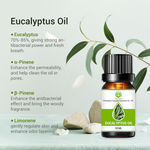 Vente en gros directe d'usine d'<span class=keywords><strong>huile</strong></span> <span class=keywords><strong>essentielle</strong></span> d'eucalyptus 100% pure, naturelle, biologique, pressée à froid, adaptée à l'aromathérapie - Product Image 2