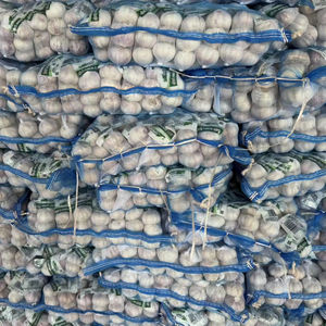 Nuevo cultivo rojo fresco sin pesticidas <span class=keywords><strong>ajo</strong></span> al por mayor mejor calidad precio asequible Ail <span class=keywords><strong>Ajo</strong></span> Fresco semillas de <span class=keywords><strong>ajo</strong></span> <span class=keywords><strong>para</strong></span> plantar - Product Image 5