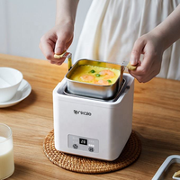 Vente chaude Ankale Factory Electric Portable Eggs Boiler pour les appareils ménagers.