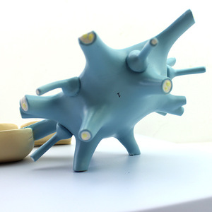 Mô hình tế bào thần kinh mở rộng-Mô hình cấu trúc sợi thần kinh có thể tháo rời 2 mảnh cho giảng dạy sinh học - Product Image 4