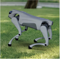 WD Smart Roboterhund-Kamera mit Radar, Duale Wahrnehmung, Hochpräzise Umgebungserkennung, 35KG, für Innen-/Außenbereich, 1 Jahr Garantie