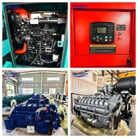 SinoShine 200KW groupe électrogène Diesel silencieux refroidi à l'eau triphasé  de transfert automatique ATS 400V