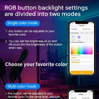 Interruptores y Enchufes Inteligentes WiFi para el Hogar, Australianos, de 1/2/3/4/5/6 Botones, Panel Táctil RGB, Certificado RCM, GPO Simple y Doble Mate
