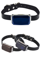 Traceur GPS étanche IP67 pour animaux de compagnie, localisateur en temps réel avec collier assorti, vente en gros