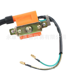 Transformateur d'allumage haute tension pour véhicule tout-terrain (ATV) et moto, catégorie de produits : systèmes d'allumage électriques pour moto - Product Image 5