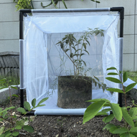 Cage de terrarium pliable pour insectes et reptiles de haute qualité 60x60x60cm, cage portable pour l'élevage d'insectes et d'oiseaux, habitat pour papillons