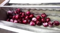 WM-45 150 Kg/u Multifunctionele Gember Lotus Aardappel Was- en Schilmachine voor Groenten en Fruit 220/380V