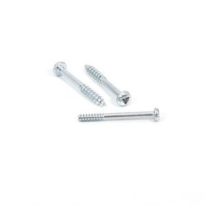 <span class=keywords><strong>Vis</strong></span> à bois en acier inoxydable 304 <span class=keywords><strong>Phillips</strong></span> /Torx, personnalisés à tête à fraise - Product Image 1