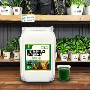 <span class=keywords><strong>Meilleur</strong></span> <span class=keywords><strong>engrais</strong></span> liquide d'algues biologiques avec NPK, stimule la croissance des plantes et améliore le rendement des cultures avec une forte résistance au stress - Product Image 2