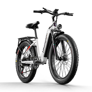 Bicicleta Eléctrica de Montaña con Doble Motor de 48v 1000w, Doble Batería y Neumáticos Anchos, con Garantía de Cinco Años - Product Image 2