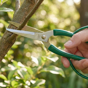 Garden <b>Shears</b> Stainless Steel Bypass Pruner Green Handle Manual Pruning <b>Tool</b> For Trees And Shrubs - Product Image 4
