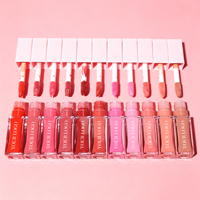Fard à joues liquide repulpant Private Label, 11 teintes, multi-usages, teinte pour les lèvres et les joues, bouchon rose, flacon carré transparent, logo personnalisé