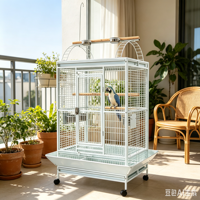 Cage à oiseaux simple et écologique pour perroquets, construction en acier inoxydable, fil de haute qualité, mangeoire en acier inoxydable, verrou métallique pour