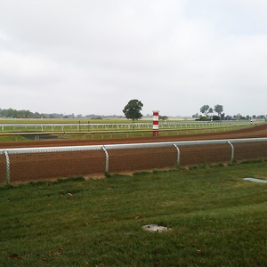 Clôture de cheval d'arène professionnelle avec rails de sécurité Breakaway idéal pour la clôture de course de chevaux d'entraînement de sprint <span class=keywords><strong>pur</strong></span>-<span class=keywords><strong>sang</strong></span> - Product Image 6