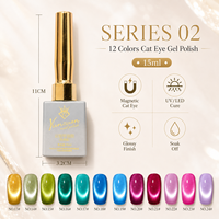 Yunzuan 15ml UV LED Soak Off Cat Eye Gel Polish Dreamy Glitter Magnetic Nail Gel 12 Couleurs OEM ODM