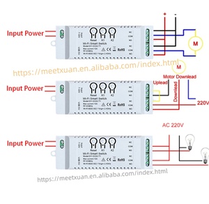 Interruptor Inteligente Tuya de 2 Canales Wifi 7-32V para Motor, Módulo de Relé de 2 Canales DC 12V 24V 32V 110V 220V, Control por Voz Alexa - Product Image 5