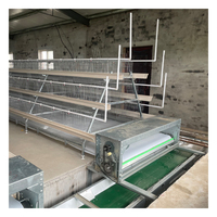 Entièrement automatisation 275g fil galvanisé à chaud type A équipement de volaille meilleure cage de couche manuelle à vendre grande ferme