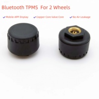 Sensor TPMS Universal BLE 5.0 con Soporte para Aplicaciones Android e iOS, Antirrobo e Impermeable para Auto y Motocicleta