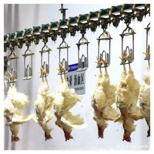 <span class=keywords><strong>Poulet</strong></span> standard professionnel d'équipement d'abattage de <span class=keywords><strong>poulet</strong></span> plumant la machine avec le moteur maintenant disponible pour la vente! - Product Image 4