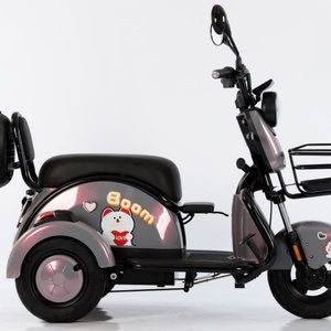 Triciclo Eléctrico de 3 Ruedas de Alta Calidad con Pantalla LCD, Triciclo Eléctrico con Energía Solar, Motocicleta Solar - Product Image 4