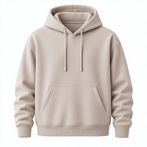 Sudaderas con Capucha Personalizadas con Logotipo en Relieve para Hombre y Mujer, Color Beige Sólido, Tejido Grueso, 100% Forro Polar, Bordado Griego, Ropa de Moda - Product Image 1