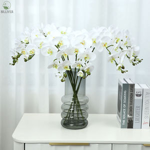 Vente en gros de 9 têtes Latex Real Touch Orchid Phalaenopsis Fleur artificielle <span class=keywords><strong>Orchidée</strong></span> <span class=keywords><strong>papillon</strong></span> pour décoration de mariage Fleur - Product Image 6