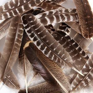 Venta caliente al por mayor barato salvaje prohibido pavo colas ala pluma para atado <span class=keywords><strong>de</strong></span> moscas artesanías tocado indio decoraciones - Product Image 1