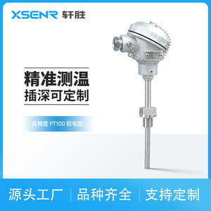 Sensor de Temperatura Pct200 Pt100 4-20mA con Montaje Roscado, Alta Precisión Clase A, Cables Fabricados en Alemania - Product Image 5