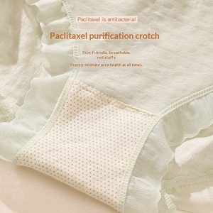 Pantaletas sin Costuras de <span class=keywords><strong>Tallas</strong></span> <span class=keywords><strong>Grandes</strong></span> al por Mayor, de Cintura Media, Cómodas y Transpirables, con Encaje, para <span class=keywords><strong>Mujer</strong></span> - Product Image 3