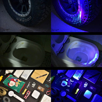 Lampe torche LED UV rechargeable par USB, lampe UV 365nm, corps en alliage d'aluminium, étanche IP44, 500 lumens, utilisation quotidienne, utilisation d'urgence, CE