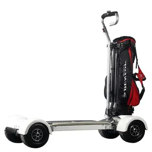 Quickwheel carrinho de golfe elétrico, carrinho de golfe inteligente de 10 polegadas, auto equilíbrio