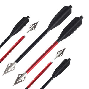 ספג חץ חץ וקשת מיני מתחם ציד תרגול חיצים להחלפה חץ חץ חץ להבים חדים גל אלומיניום - Product Image 1