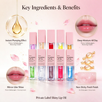 Gloss à lèvres hydratant et repulpant, huile à lèvres brillante, maquillage cosmétique pour les lèvres, produit OEM ODM, marque personnalisée