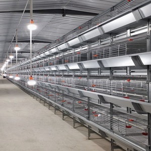 Trung Quốc Chất Lượng Tốt Q235 Thép Mạ Kẽm Dây Lưới Sử Dụng Cho Gà Chim Gia Cầm Pin Gà Thịt Lồng - Product Image 4