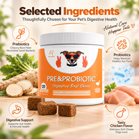 Friandises à mâcher prébiotiques et probiotiques pour chiens, santé digestive, équilibre de la flore intestinale, nutrition immunitaire, saveur poulet, fabrication OEM