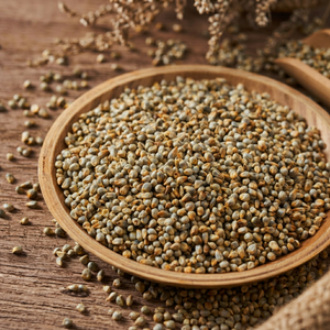 Millet perlé, ingrédient brut - Product Image 1