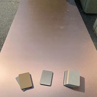 Paneles de Pared de PVC PET, Diseño de Paneles Metálicos, Material WPC, Lámina Sólida, Paneles de Pared Interiores para Dormitorio, Comedor, Hotel, Fondo de TV y Sofá