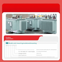 Transformador de Potencia Trifásico Vertical de Alta Tensión 10KV S11/S13/S20 Sumergido en Aceite 50/400/630/800KVA con Doble Envoltura de Cobre y Aluminio