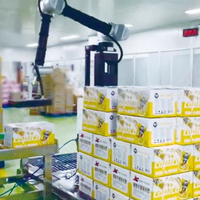 Robot de collaboration Palettiseur Robot de collaboration Machine d'empilage de sacs 20kg 35kg Carton Cobot Palettiseur Robot Empileur