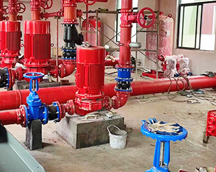 Naffco Diesel Engine Driven Fire Pump